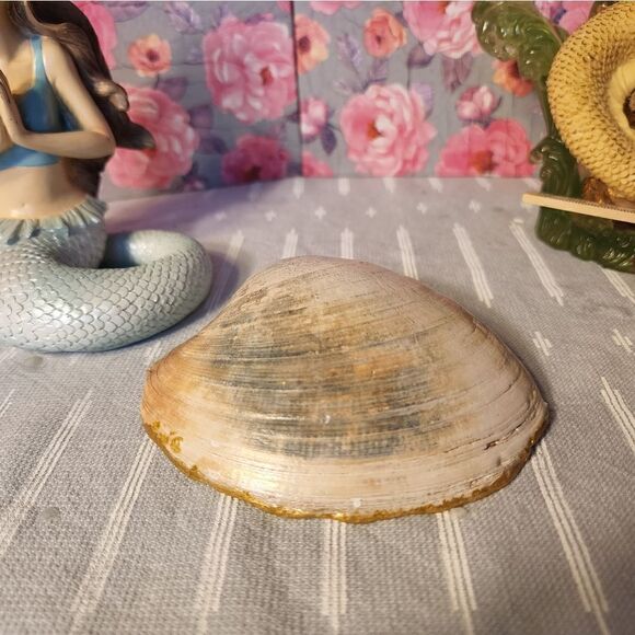 DECOUPAGE CLASSY CLAM SHELL - Picture 6 of 6